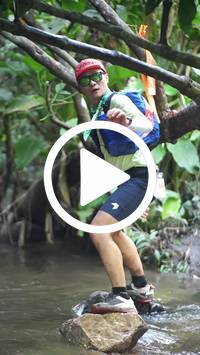 BIB:  <button type="button" onclick="openModal(27808183)" class="btn btn-primary btn-sm float-right" data-toggle="modal" data-target=".modal-high-quality">
                <i class="fa fa-download"></i> Download
                </button>